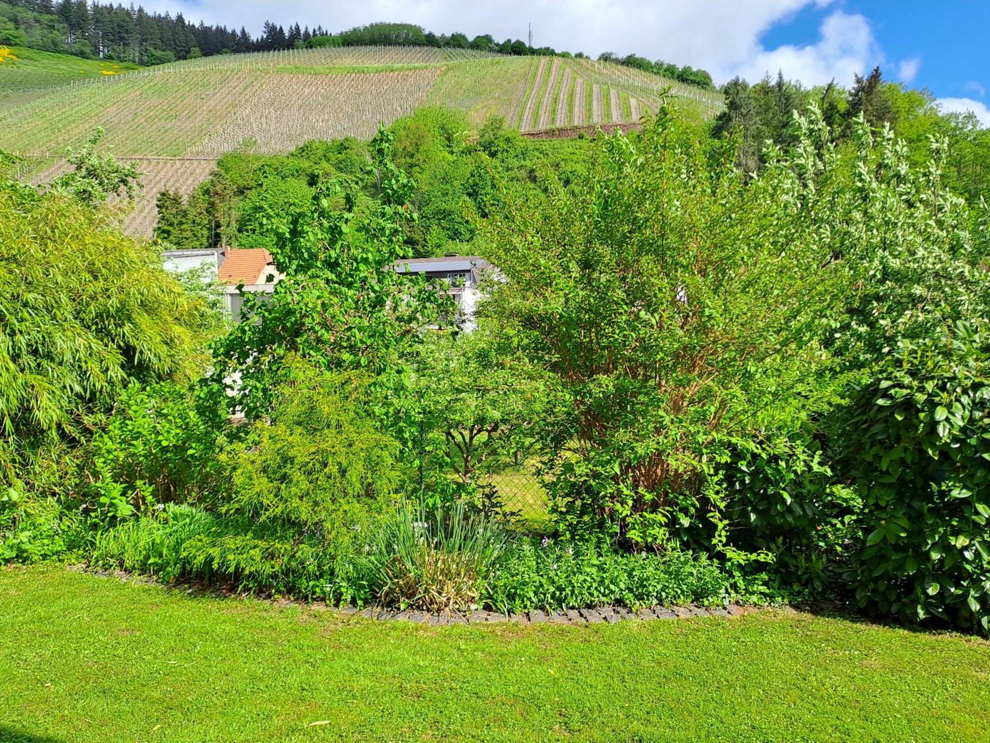 Ferienwohnung Heiming Saarburg Luaran gambar